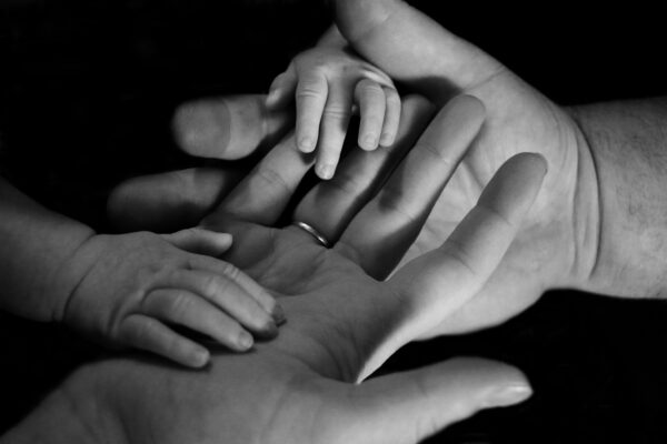 Divorce, Matrimonial, and Family Law Background